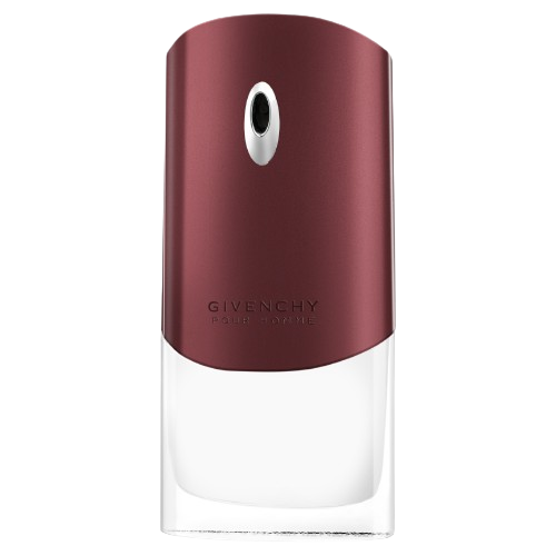 Givenchy pour homme top eau de toilette