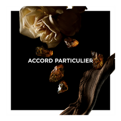 __181-1805-007489 __