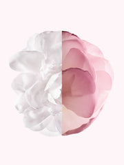 IRRESISTIBLE VERY FLORAL - SET