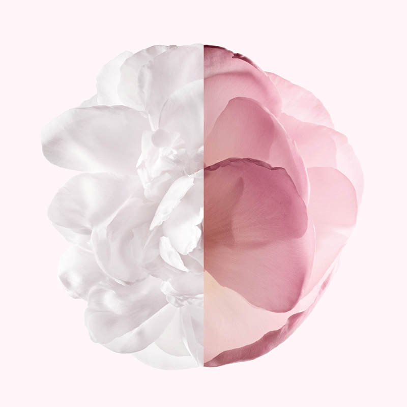 __181-1805-007706__
