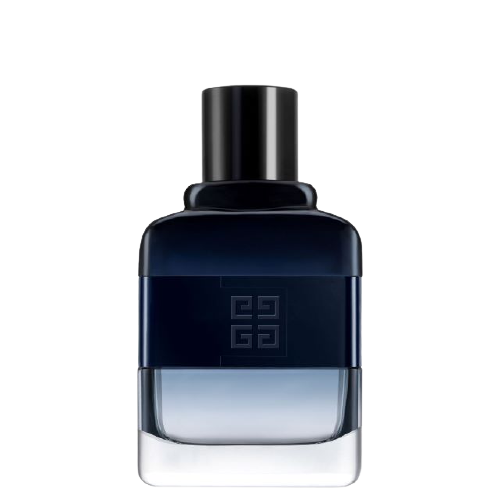 Givenchy men's top cologne gentlemen