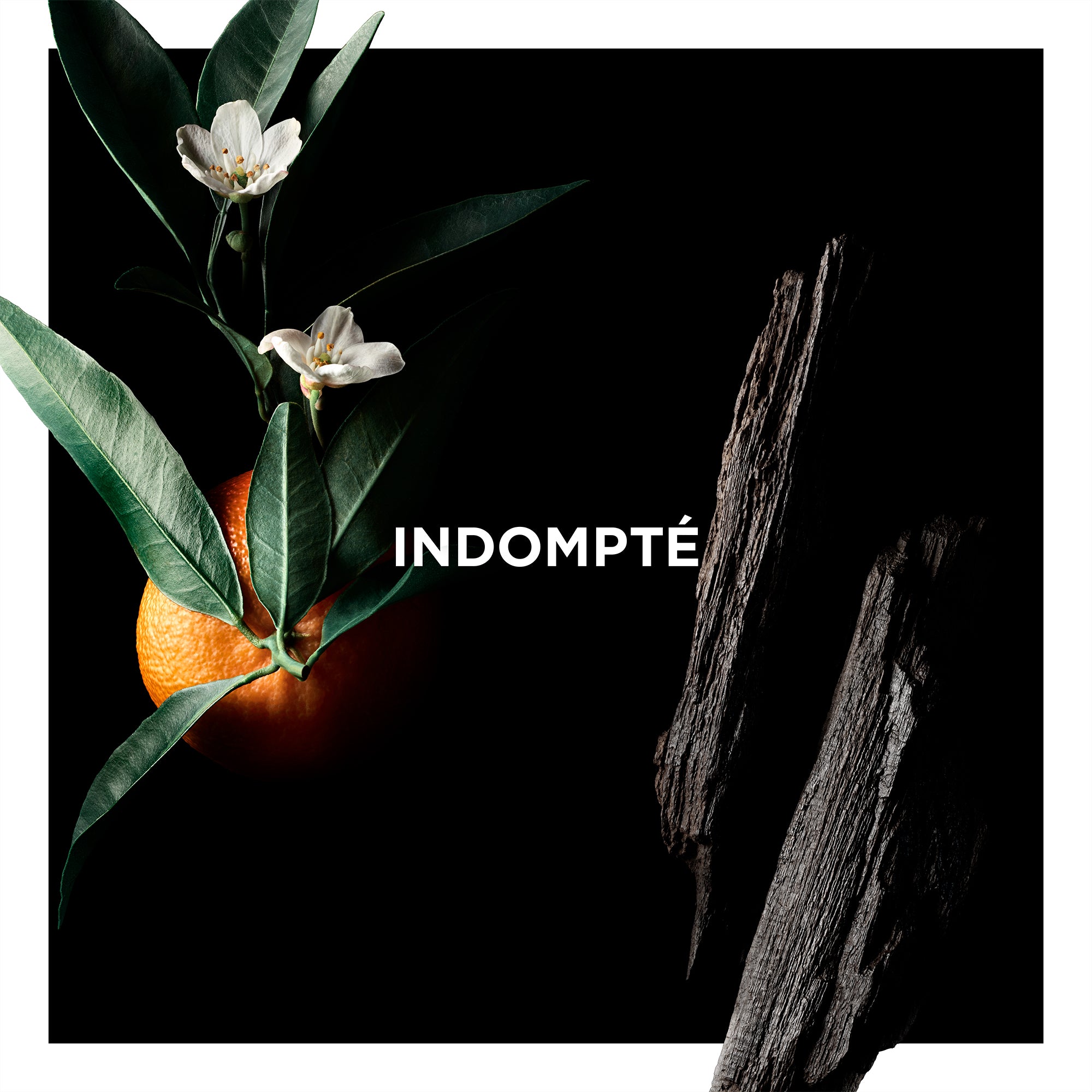 __181-1805-005913__
